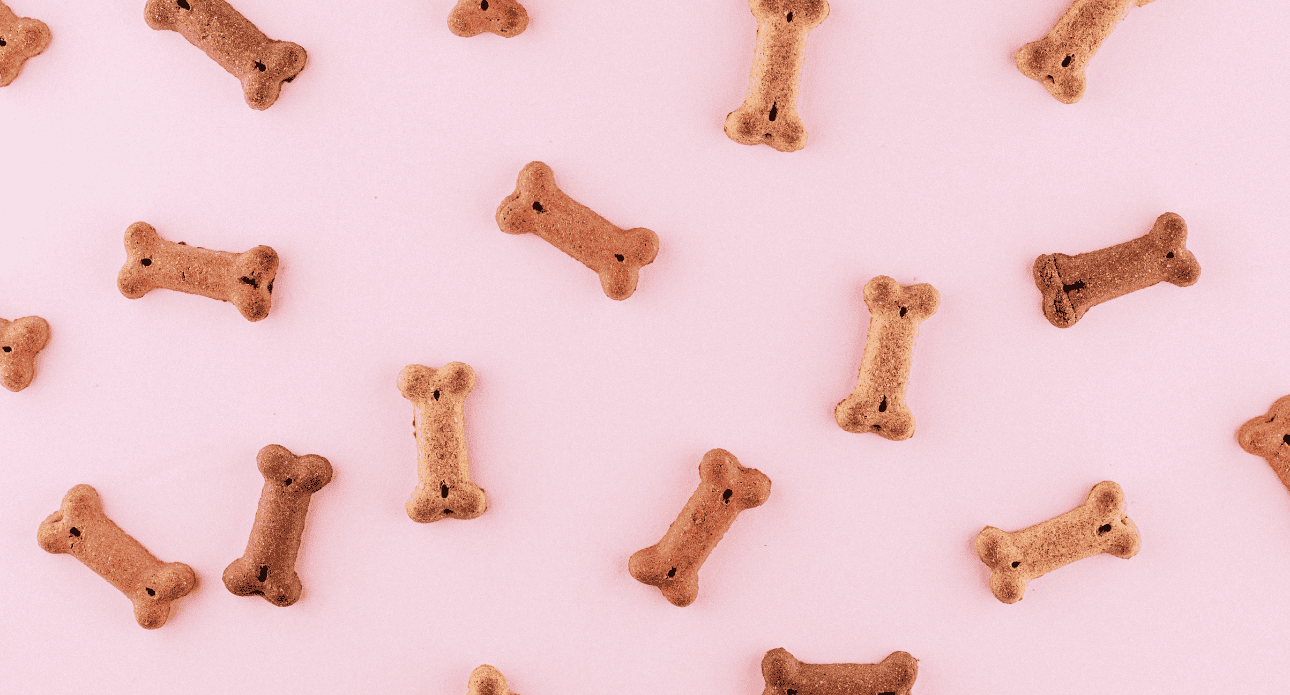 3 Positive Lessons Dogs Can Teach Us All About Effective Communication 3-positive-lessons-dogs-can-teach-us-all-about-effective-communication